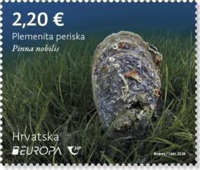EUROPA – Podmorska flora i fauna, Plemenita periska 